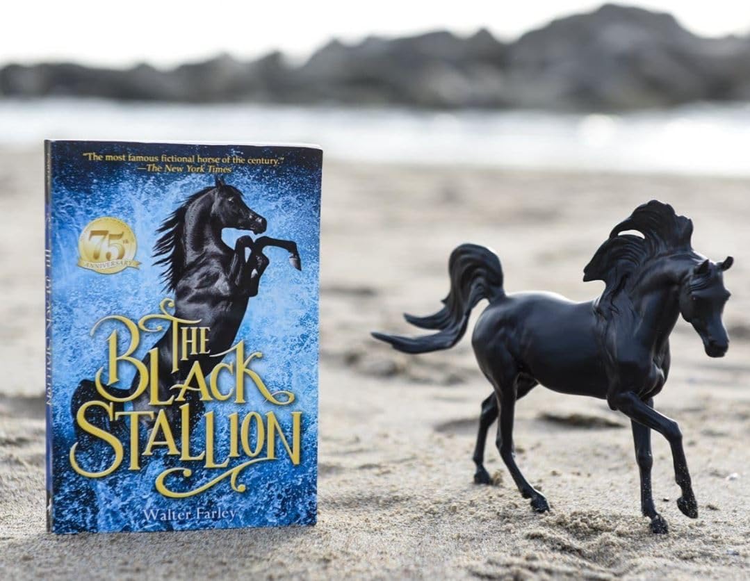 Breyer Horses Freedom Series Schwarzes Hengst Pferd und Buch-Set Pferde- und Buchserie | Pferde-Spielzeugmodell | Maßstab 1:12 Freedom Series Pferdefigur | Modell #6181