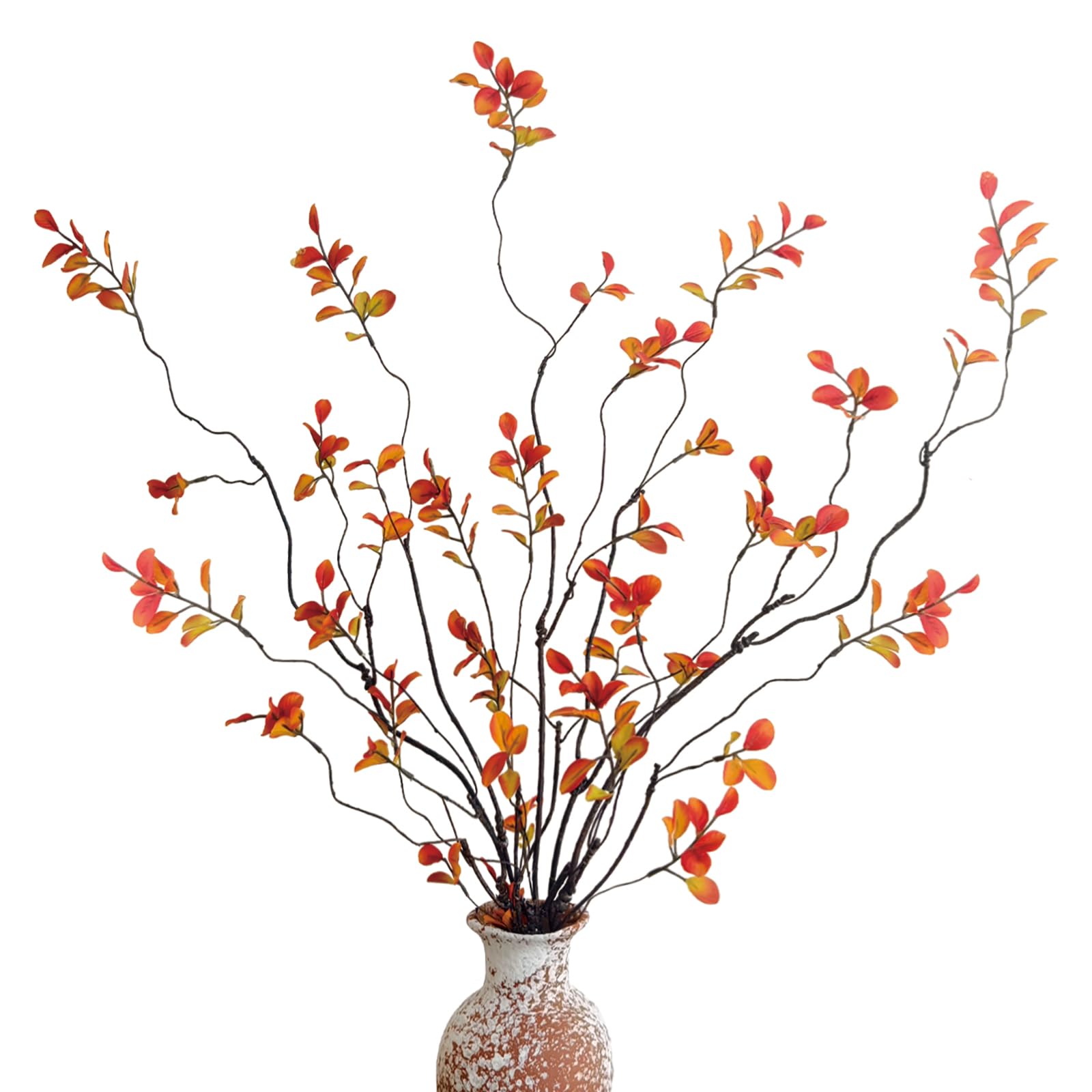 Cherica Ficus Branches