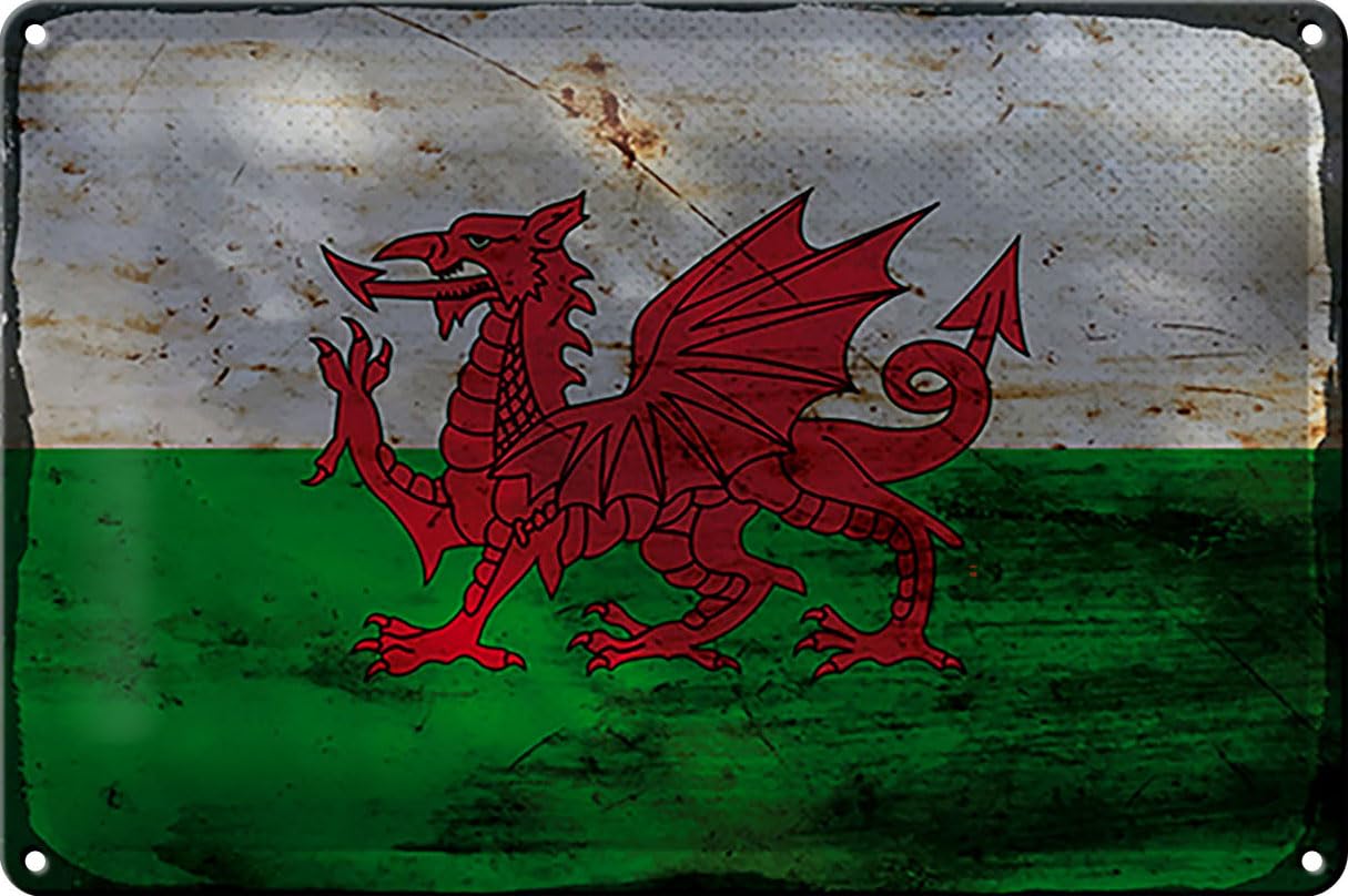 Femer Girls Multicoloured Tin Sign With Wales Flag 30 X 20 Cm
