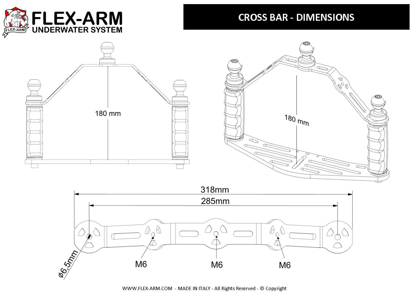ST202CB11 - Soporte para fundas de fotografía subacuática con 2 bolas de 25 mm, adaptador YS - Cámaras subacuáticas compactas