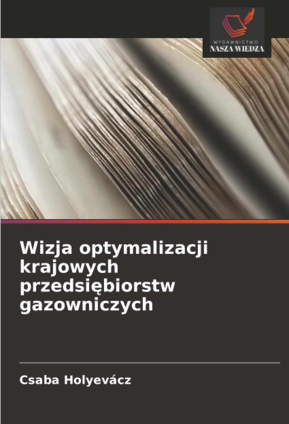 Wizja optymalizacji krajowych przedsi¿biorstw gazowniczych