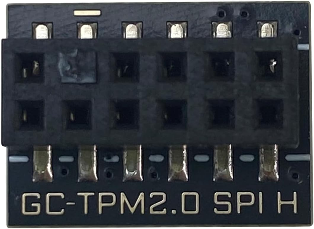 TPM2.0 Module 12 Pin(12Pin-1) SPI for Gigabyte motherboards for GIGABYTE GC-TPM20 SPI Platform Accessories