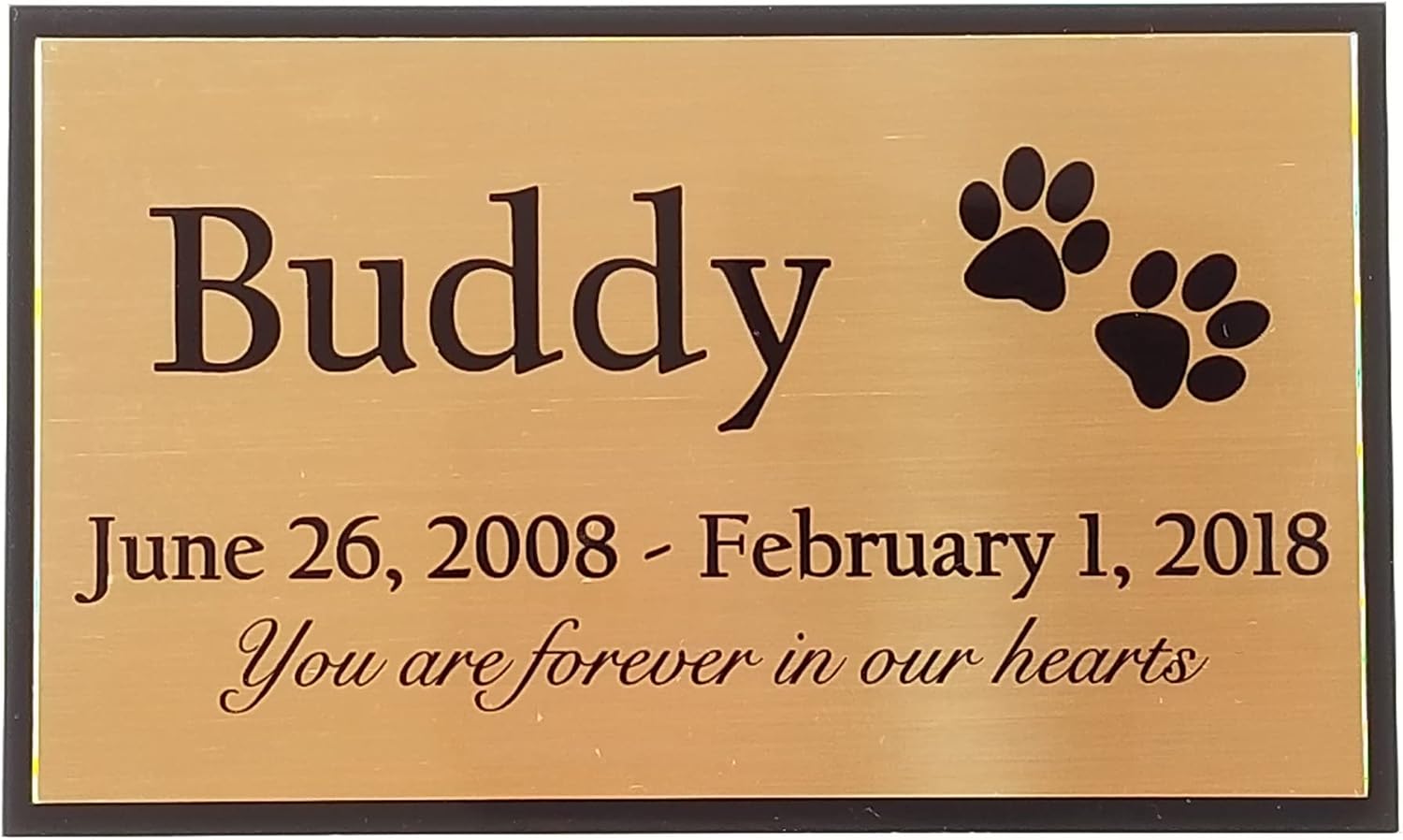 Personalized Two Tone Brass Name Plate, Custom Laser