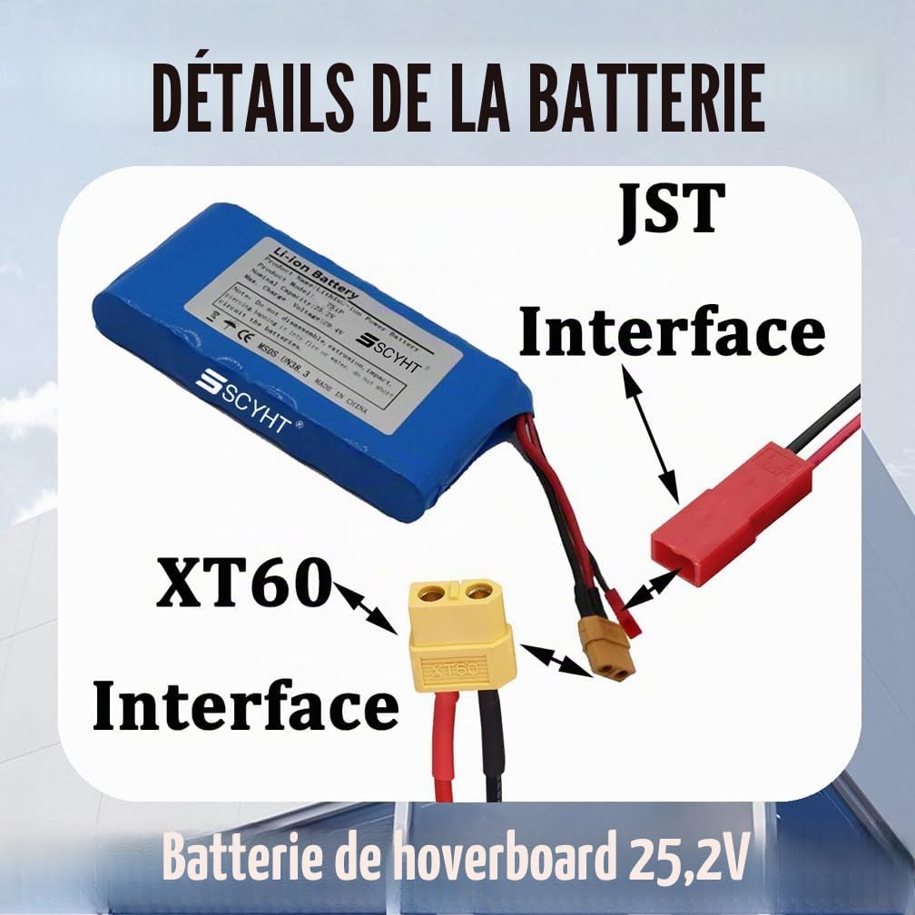Batterie au Lithium 25,2 V Batterie Rechargeable 4 Ah 6 Ah Batteries de Remplacement 7S1P Batteries Hoverboard pour Moteur 50 W - 105 W avec Ports XT60 et JST,25.2v6ah 1pack