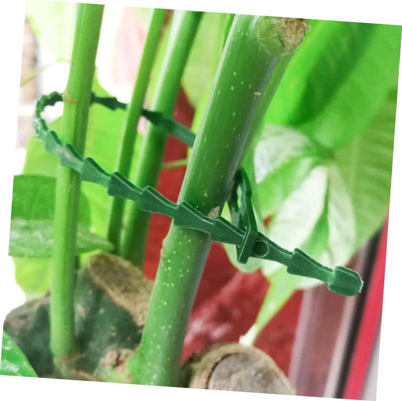 200pcs Flexible Garden Plant Ties Multi-Functional Support for Flowers Vines and Shrubs Fixing Accessory for Gardening