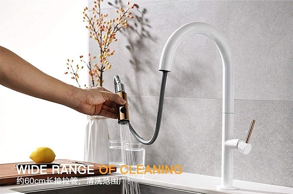 OIFAODAO Water tap, Pull-Out Kitchen Faucet Swivel Spout Sink Mixer Taps with Pull Out Sprayer Modern Tap