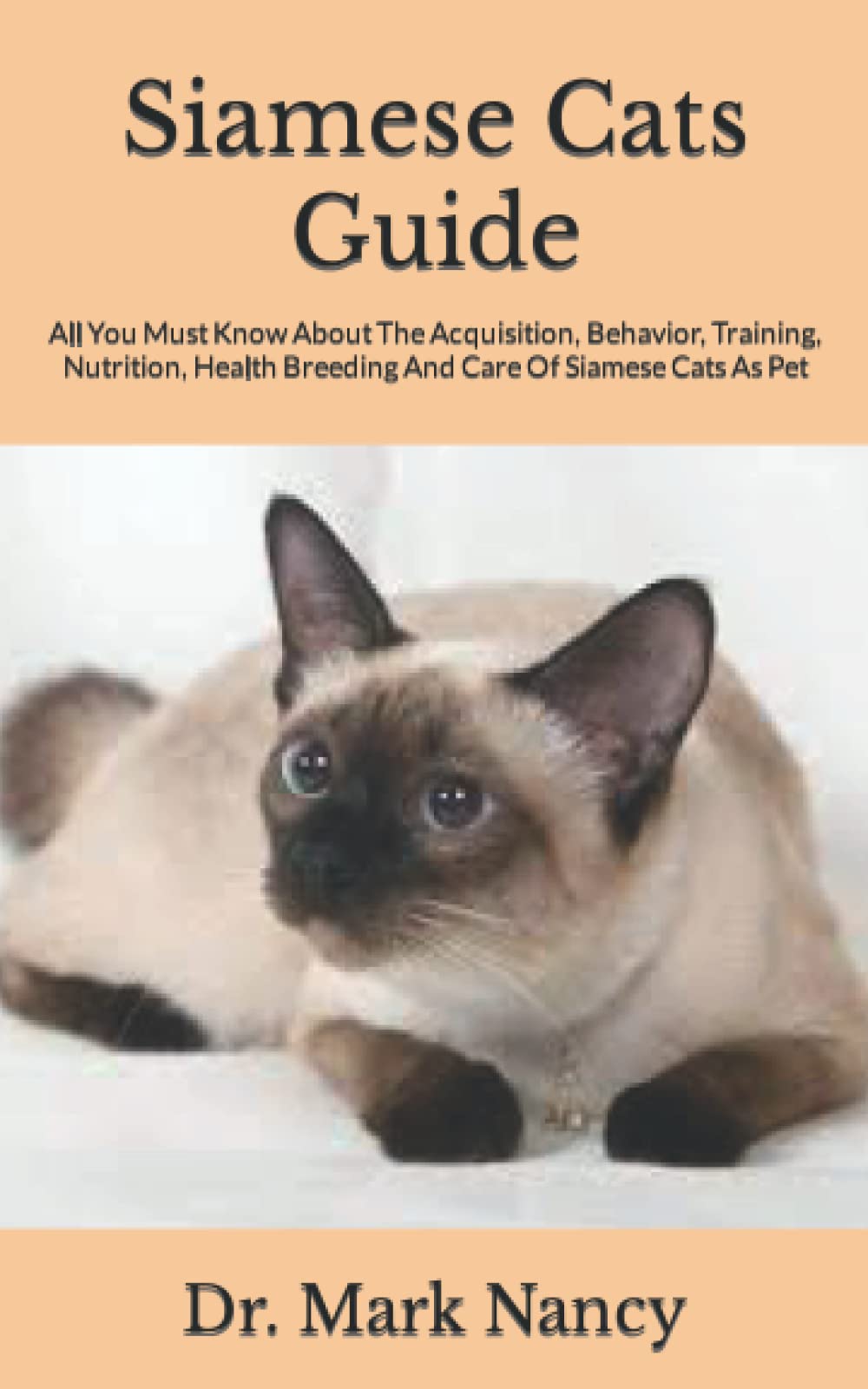 Buy Siamese Cats Guide All You Must Know About The Acquisition