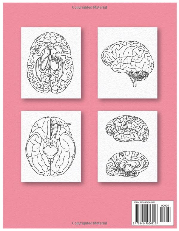 Neuroanatomy Human Brain Coloring Book: Neuroscience Coloring Book with MCQs ( Multiple Choice Questions) | A Gift for Medical School Students, Nurses, Doctors and Adults - Image 2