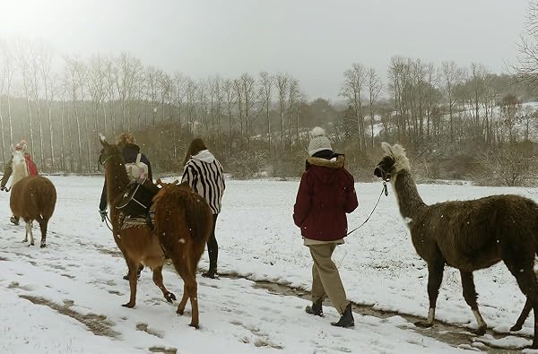 mydays Geschenkgutschein: Alpaka Wanderung - 2