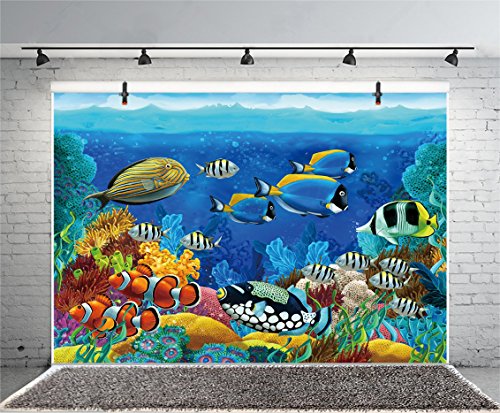 Best Nemo Camp Showers
