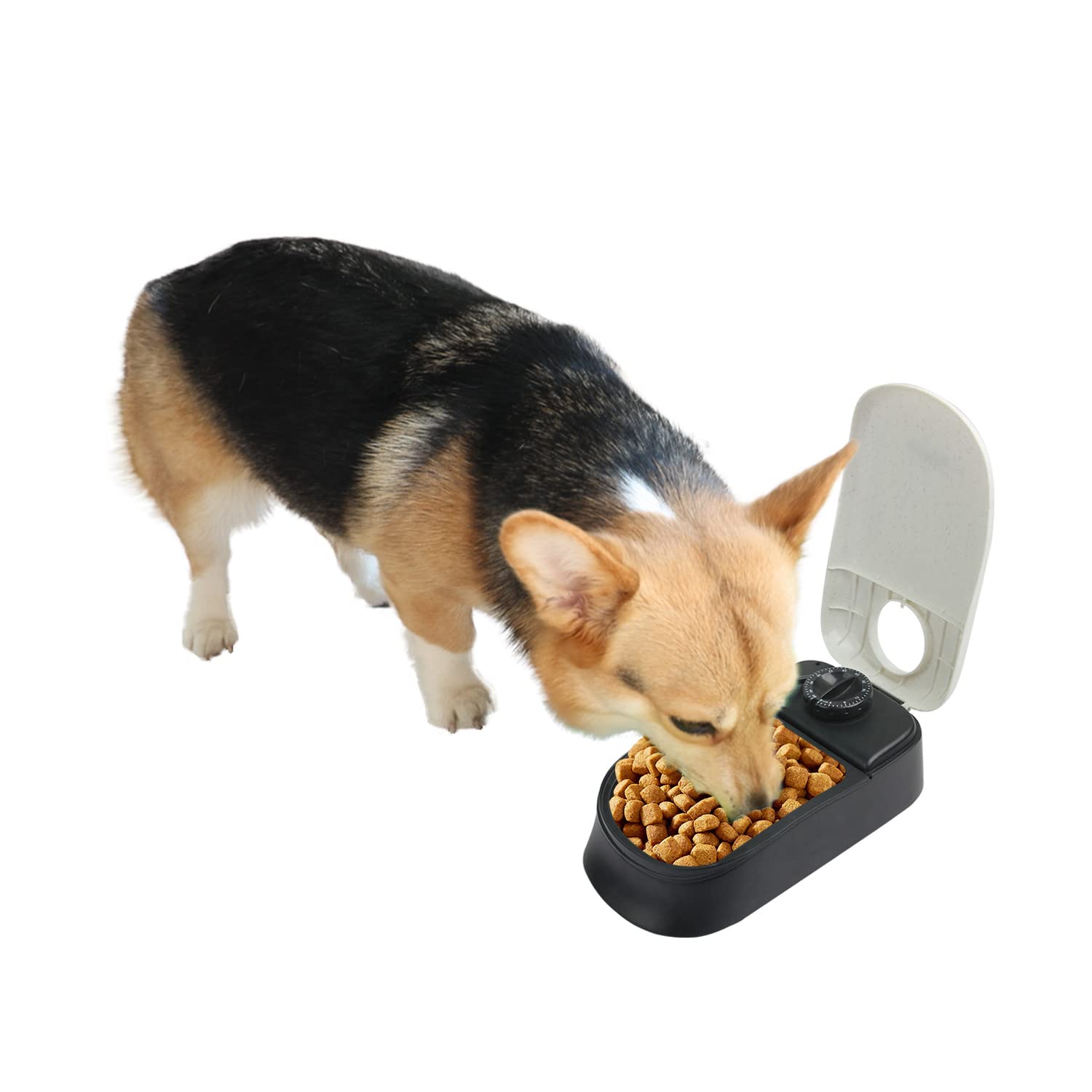 PAWISE Automatische Haustierfütterung für Hunde und Katzen, 1.5 Cup Futterspender Feeder mit 48-Stunden Timer für Single