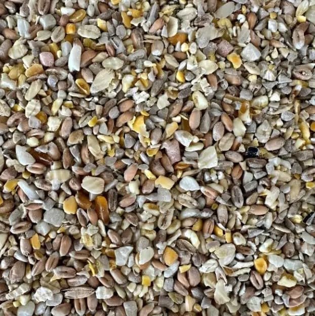 Premium No Mess Seed Mix for Wild Birds (12.55kg) - High Energy Bird Food