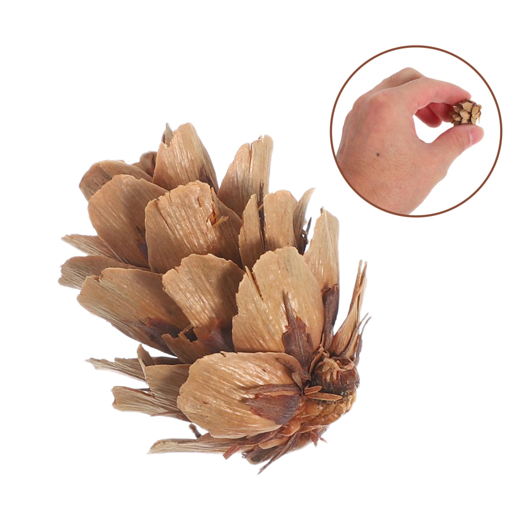 Tannenzapfen-Ornamente Für Weihnachten Herbstdeko Und Bastelarbeiten Natürliche Mini-kiefernzapfen Als Vasenfüller Oder Tischdekoration Für DIY-anwendungen Und Saisonale Verschöner