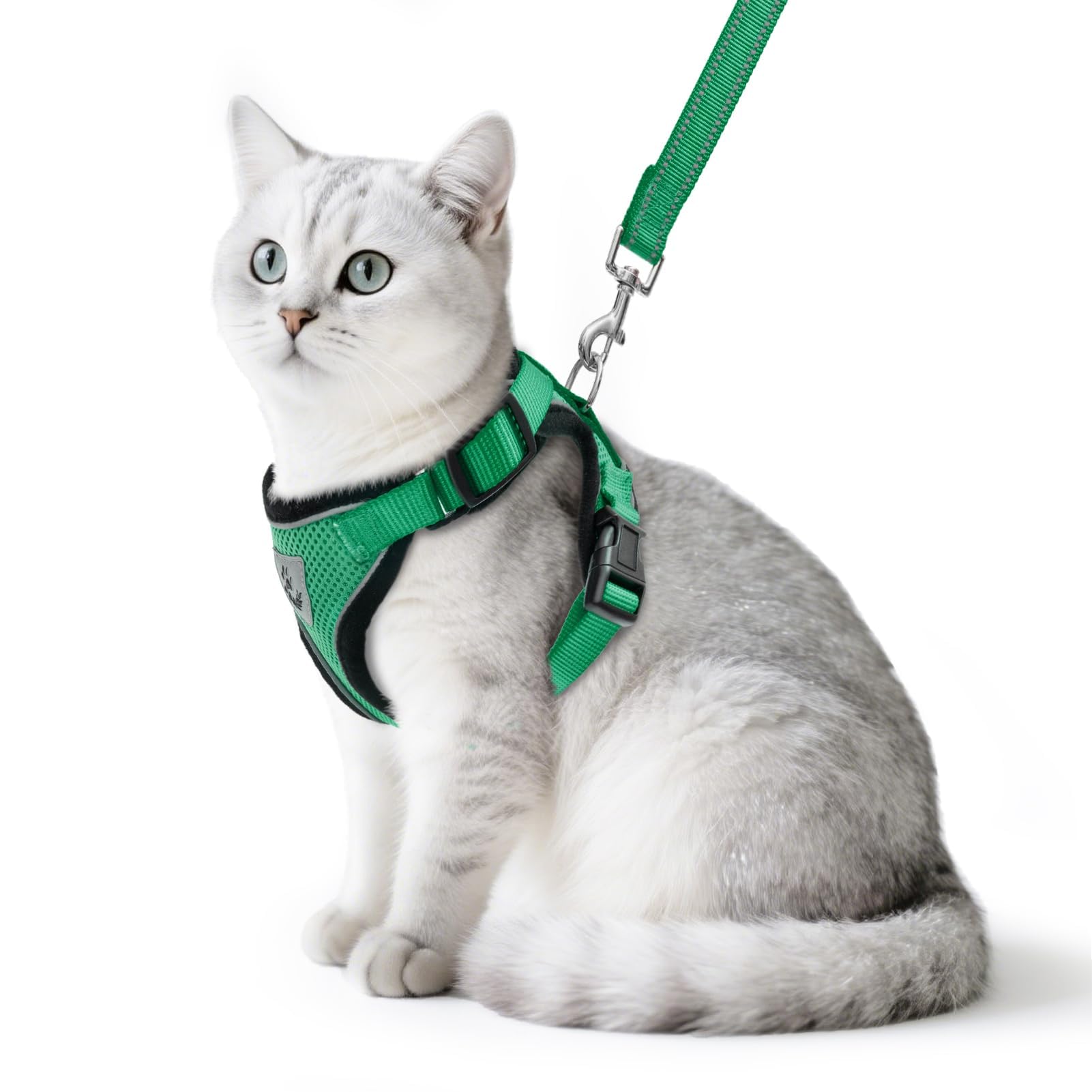 PUPTECK Cat Harness and Leash Set Escape Proof Reflective Cat Walking Harness Adjustable Soft Breathable Mesh Vest for Small Pets, Dark Green, L