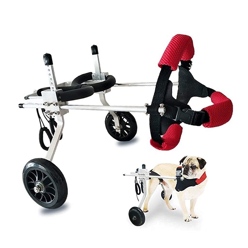 exercise wheel for dogs