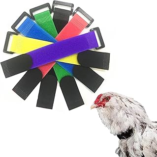 No Crow Rooster Collar, Crow Collar Rooster Collar No Crow Noise Neck Belt for Roosters Cockerel Velcro Nylon Prevent Chickens from Screaming, Disturbing Neighbors (6pcs)