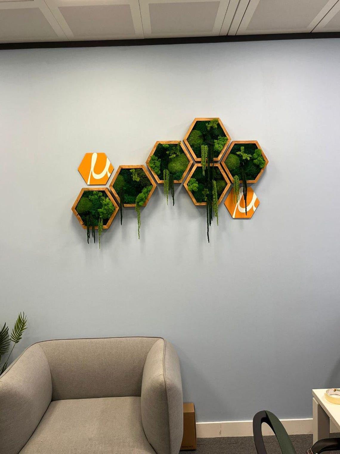 Moss Hexagons