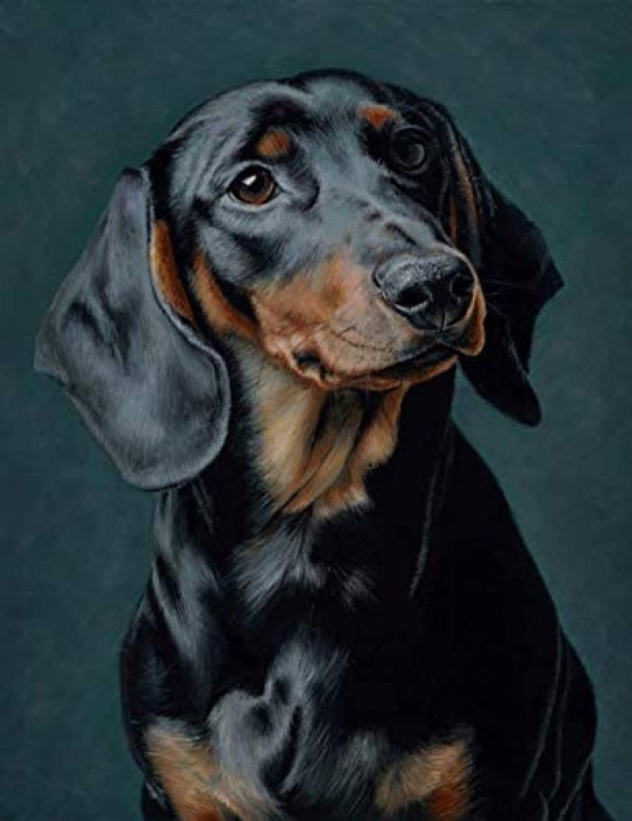 Hlfuz Black 5D Diy Diamond Painting Dachshund Sausage Dog Crystal Rhinestone Embroidery Cross Stitch Arts Craft Home Wall Decoration 40X40cm
