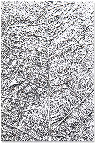 Classeur de gaufrage 3-D Textured Impressions 664488, Nervures de feuilles de Sizzix