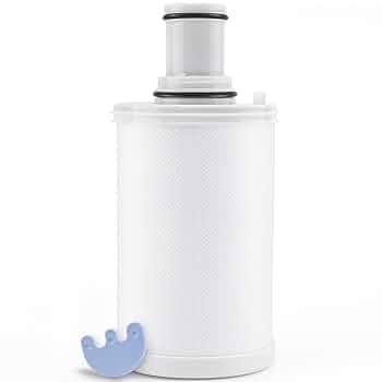 Amazon.com: 100186 Water Filter Replacement Compatible with