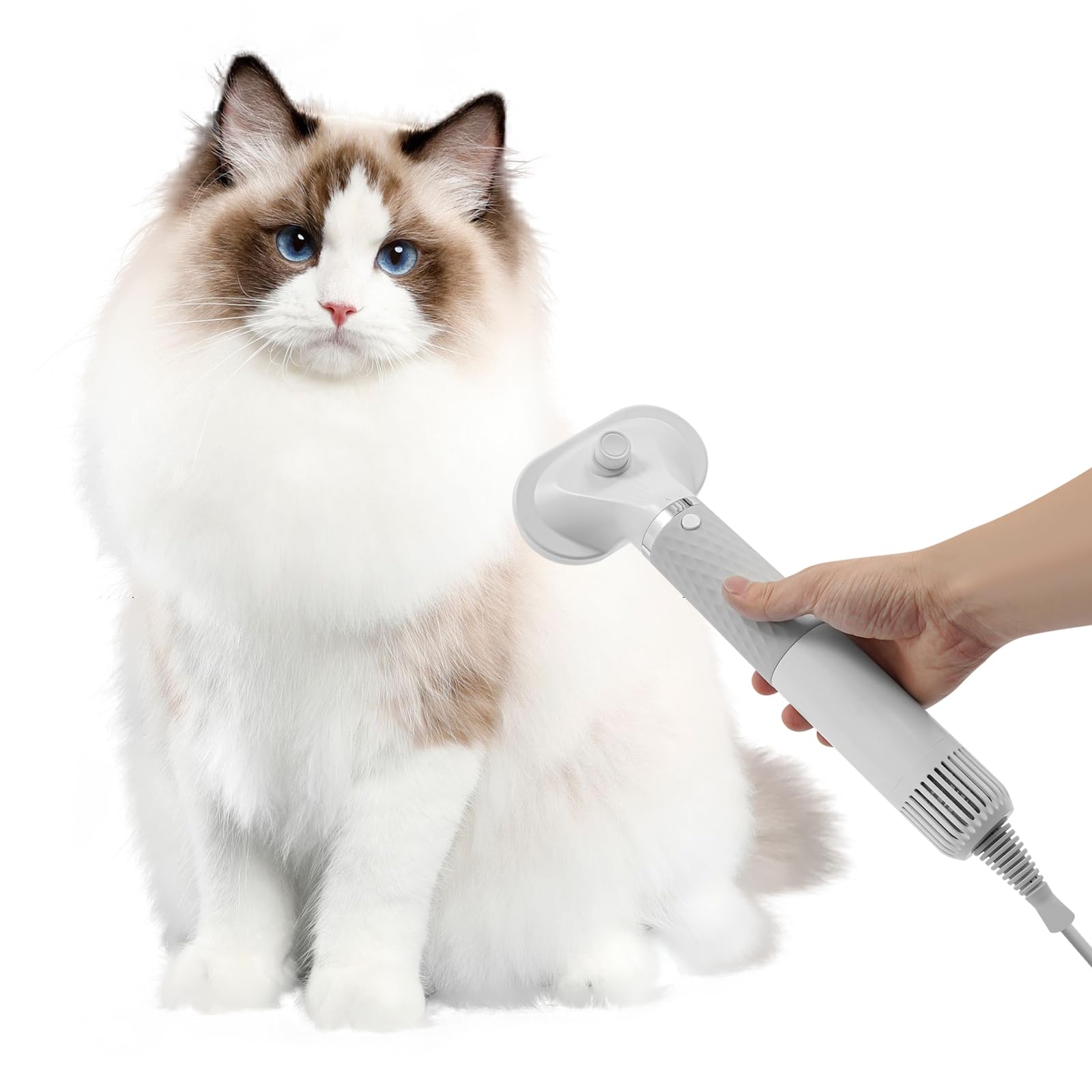 Hundefön Hunde Blower Haartrockner für Hunde und Katzen 1000W mit 4 Düsen