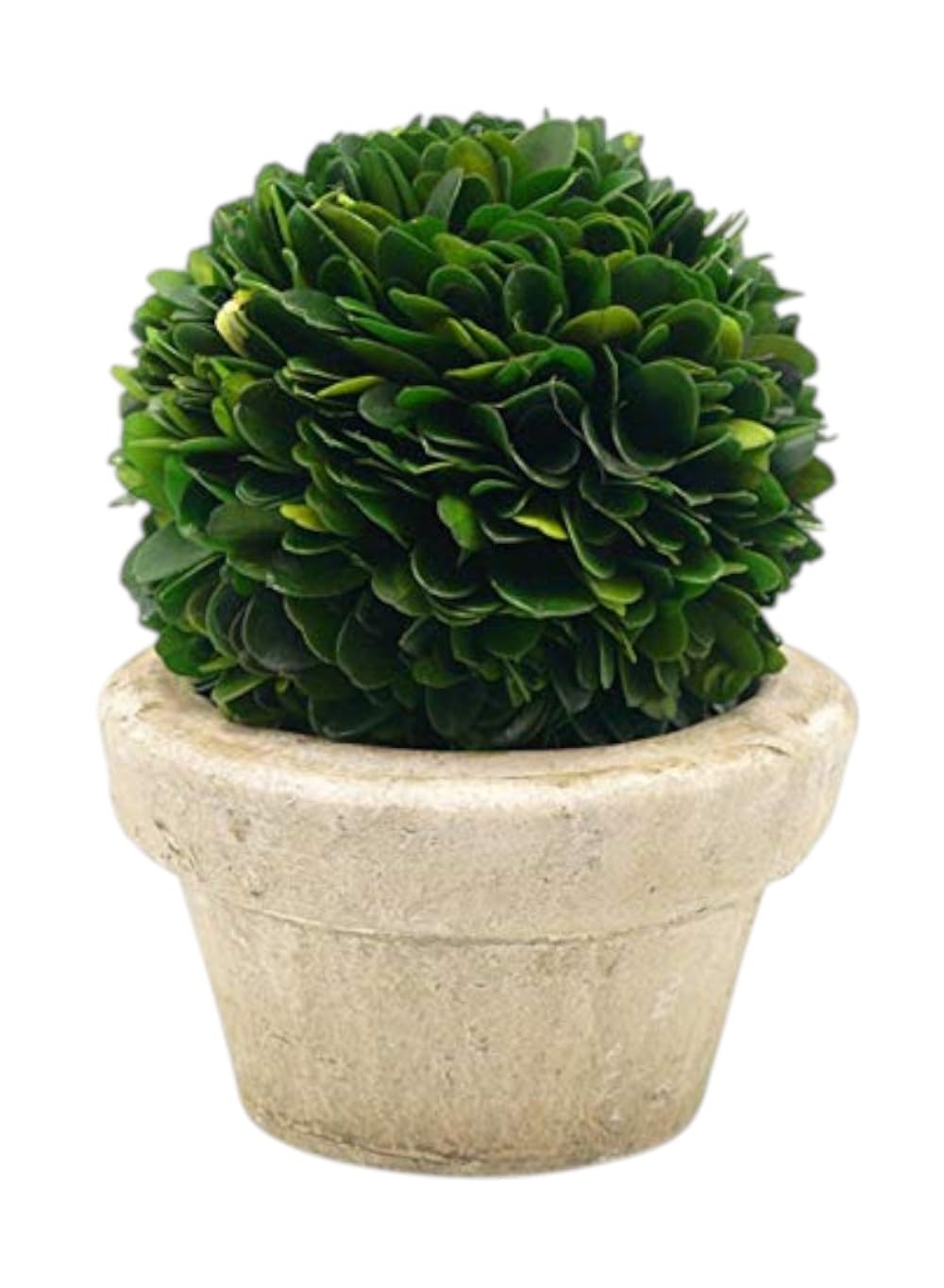 Serene Spaces Preserved Boxwood Ball