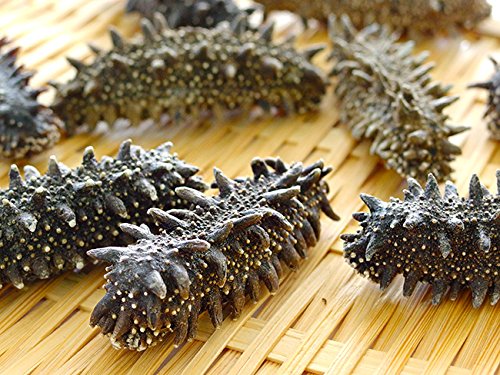 乾燥ナマコ 特A級品 Mサイズ 20g (特Aランク Mサイズ) 北海道産乾燥なまこ 金ん子 (中華高級食材) 干し海鼠 北海キンコ 海参 海参皇 干しなまこ (干しナマコ)