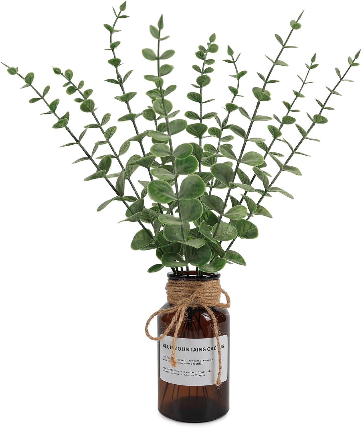 DEEMEI Artificial Plants in Vase, Eucalyptus Stems in Glass