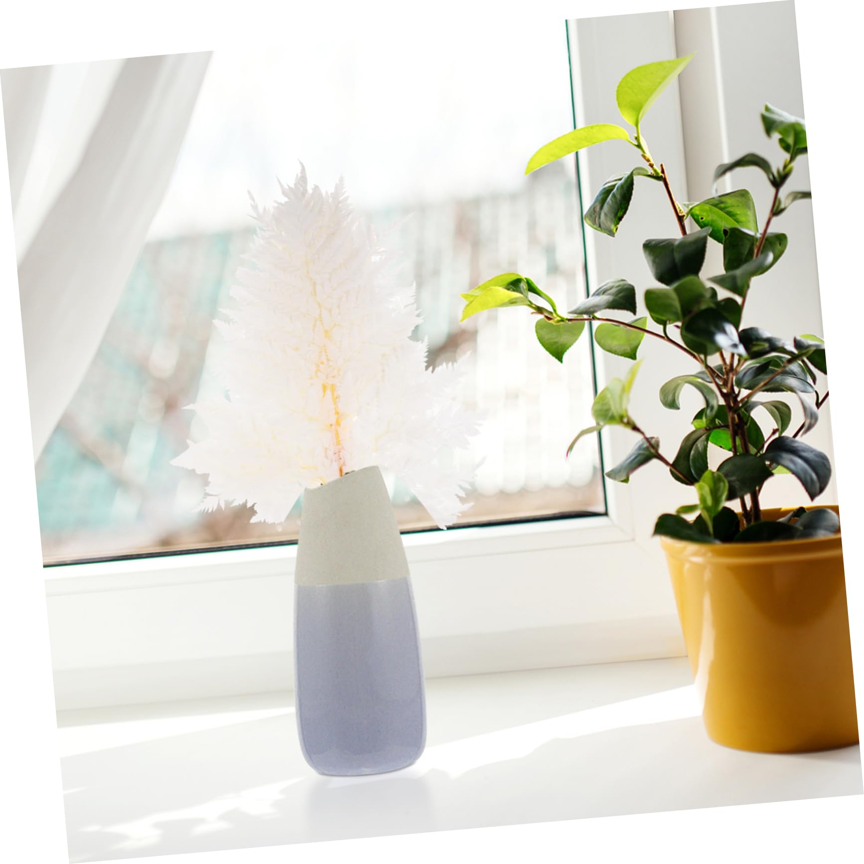 Toyvian Bouquet Séchées Blanches Décoration Naturelle Sans