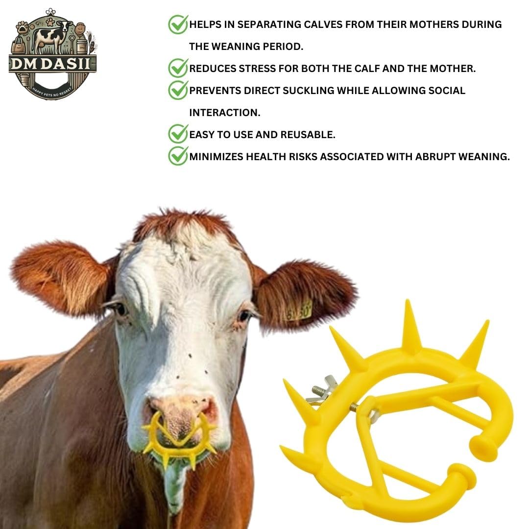 Cattle Weaning Nose Ring - Safe & Humane -7 Cattle Weaning Nose Ring - Safe & Humane -7