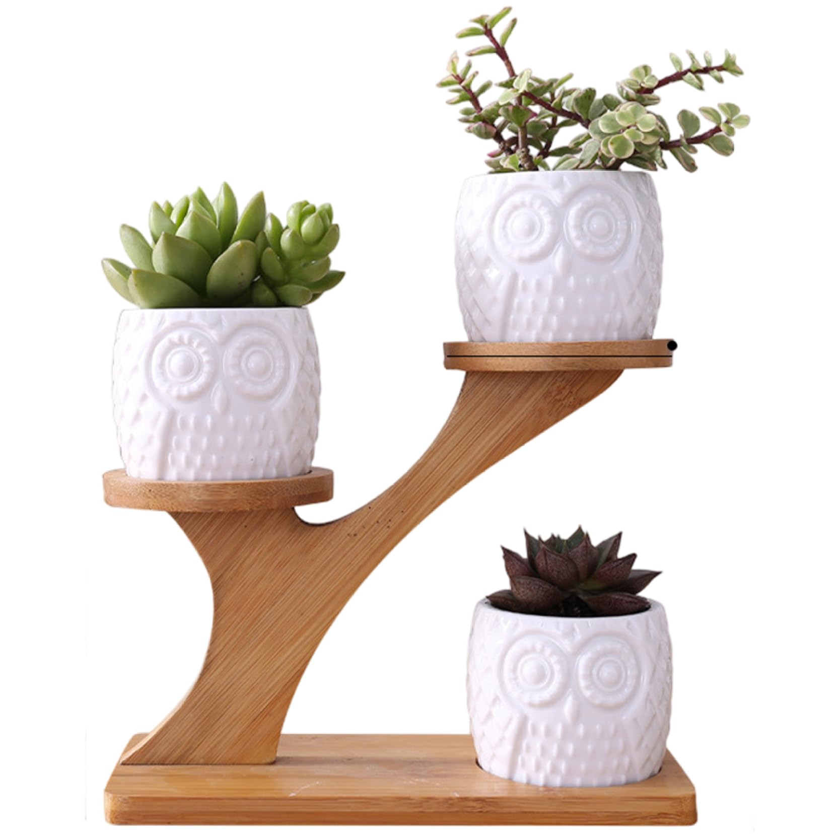 Mini pot cactus jardin céramique, lot de 3 pots de hibou et bambou