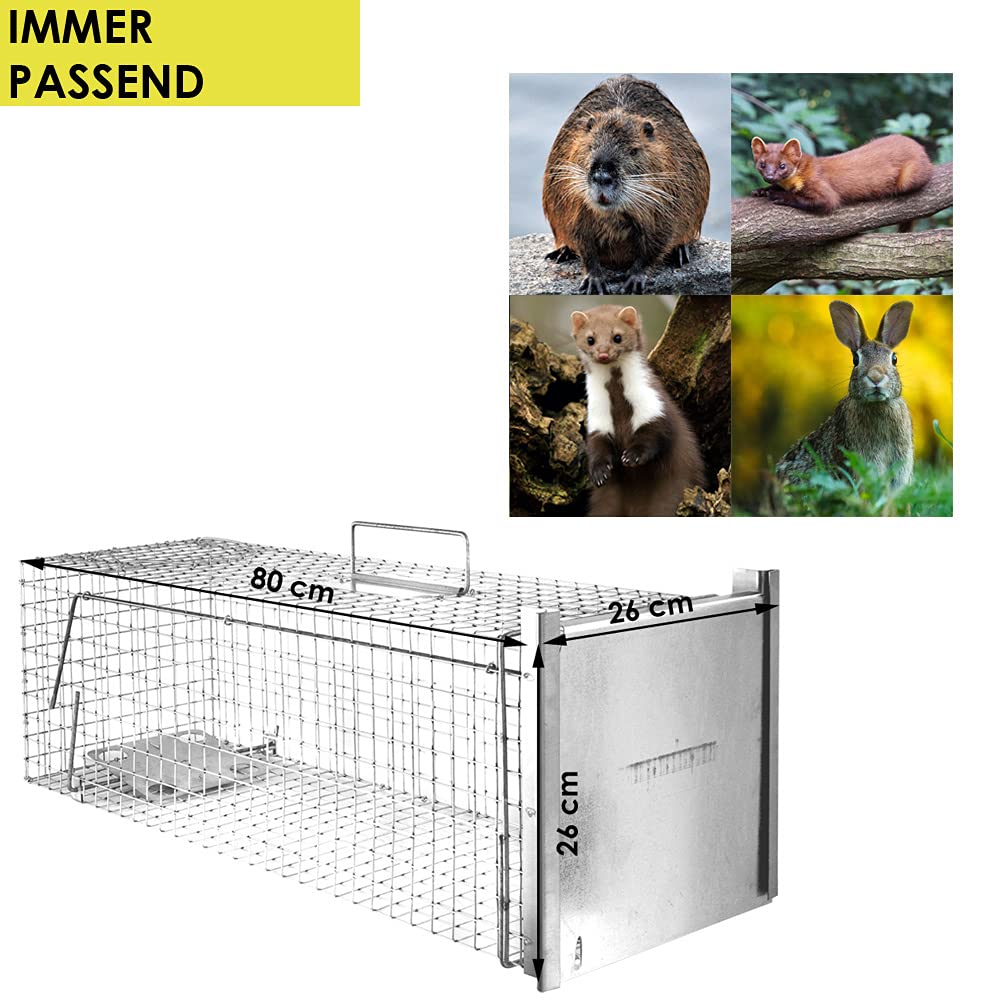 Animales Humane Trampa Jaula Captura Gato Castor 80 x 26 x 26 cm Petigi