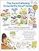 Draw Write Now Boxed Set of 8