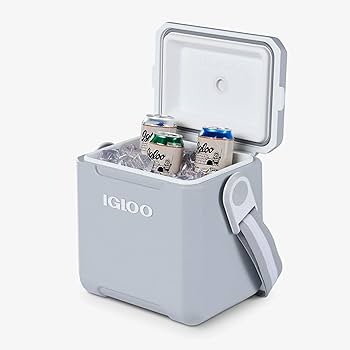 Amazon | Igloo 11クォート タグ付き テールゲートクーラー 2