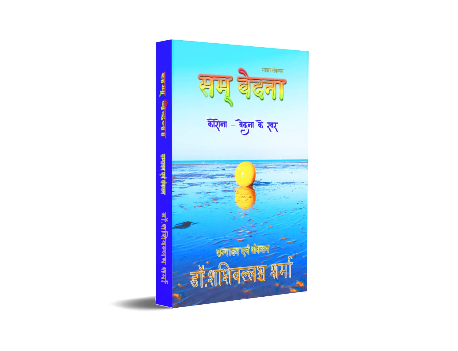 Sam Vedna Perfect PaperBack