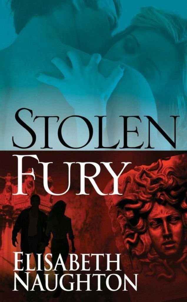 Buy Stolen Fury — BookShops.in