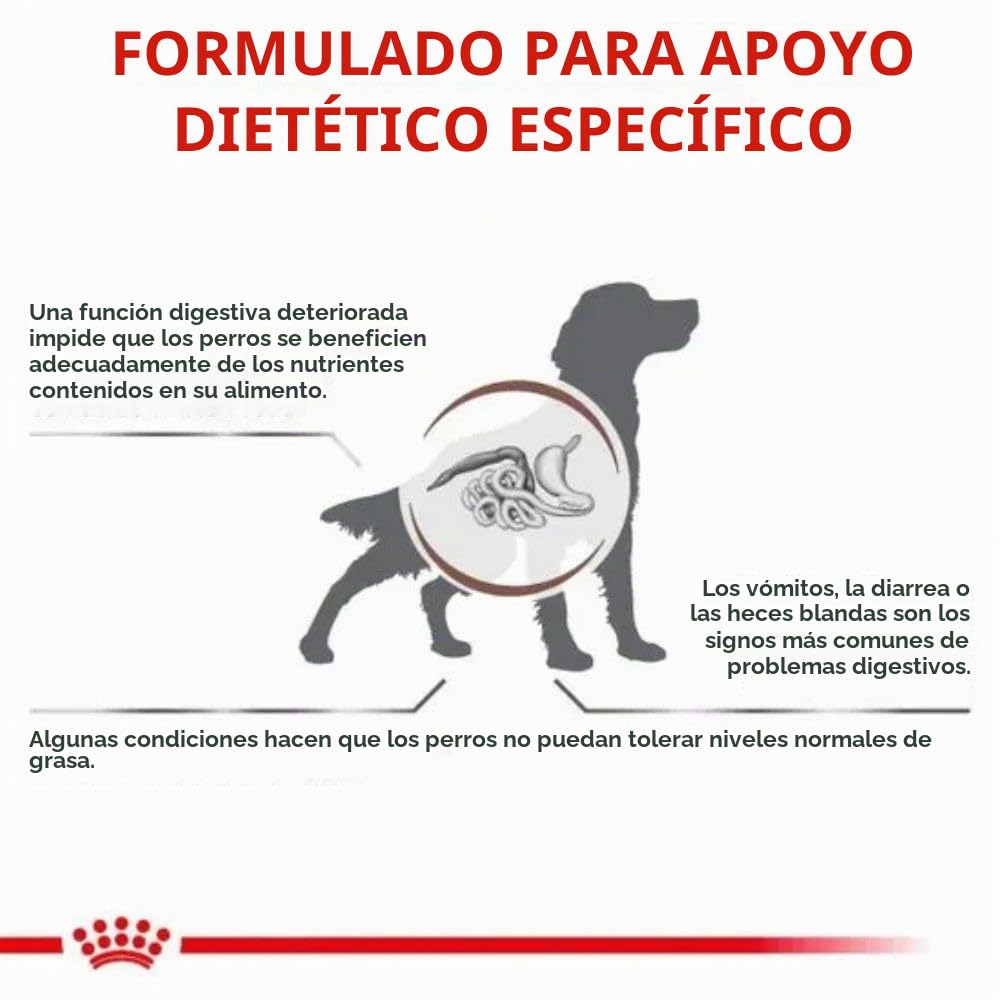 Royal Canin Veterinary Gastrointestinal Low Fat | 6 kg | Pienso Completo para Perros Adultos | Alimento seco para Ayuda digestiva | Bajo Contenido en Grasas