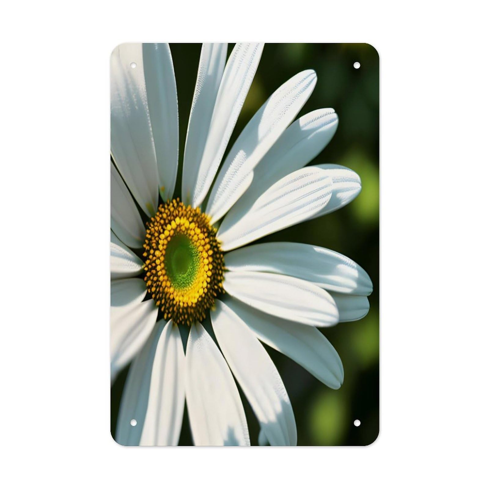 Daisy Metal Tin Sign Wall Decor Hanging Plaque