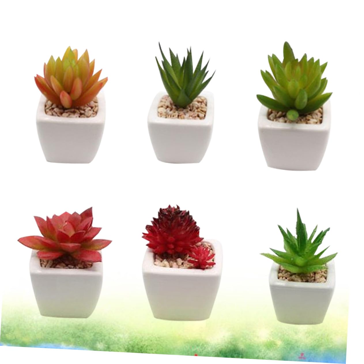 SOLUSTRE Kleiner Keramik Sukkulenten Bonsai 6 Stück, Weiß, Künstlich