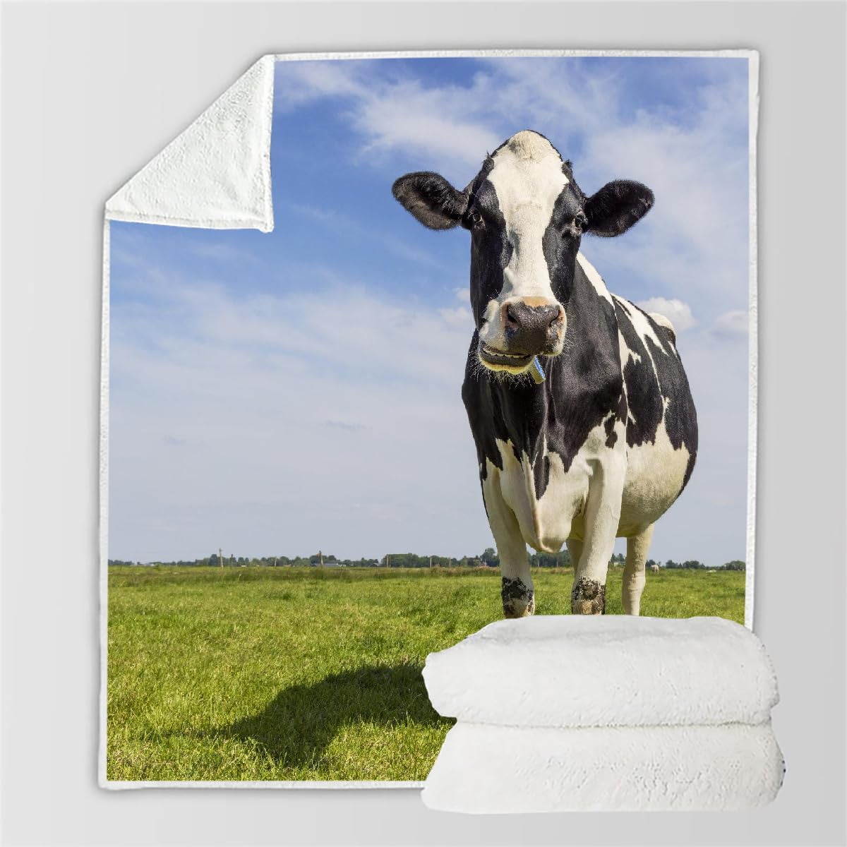 Couverture vache plaid polaire 130x150 microfibre chaude canapé