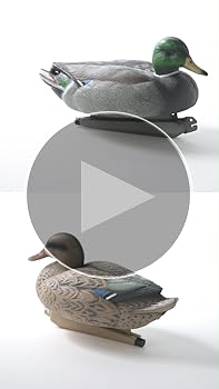 ラリック　鴨　置物 71Clp0rgpAL._UF1000,1000_QL80_.jpg