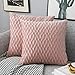 Yamonic Housses Coussin en Velours 40x40cm pour Salon Canapé,Lot de 2 Housses Coussin Carrés de Motif uni Décoration Chambre, Rose