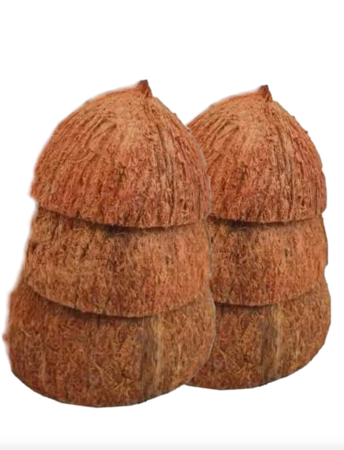 Natural Coconut Shell (Fully Cleaned, Pack of 6)-picture-17