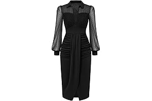 Vintage Mesh Long Sleeve Dress for Women