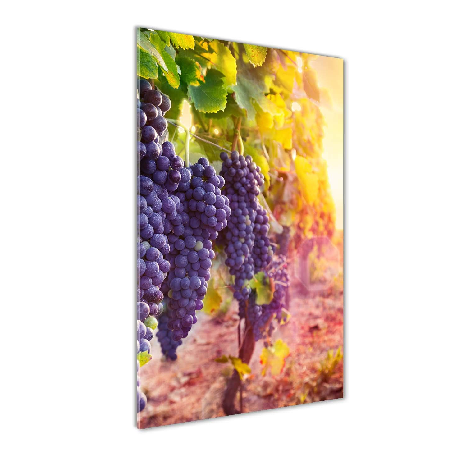 Photo décorative panoramique cuisine et salon tableau sur verre 60x120 cm Tulup