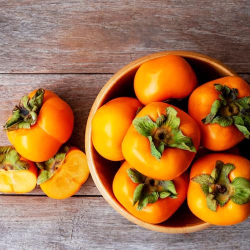 Miniatura 5 de QAUZUY GARDEN 5 semillas de caqui Diospyros virginiana Semillas de árboles frutales perennes, semillas sin OMG, fáciles de cultivar, cultiva tu