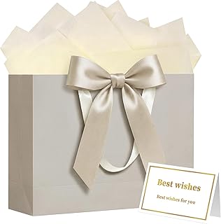 Laidans 13 Inch Large Gift Bag