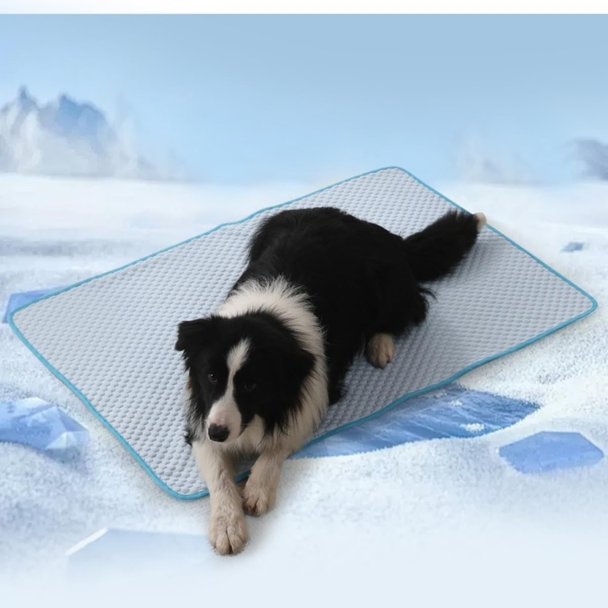 Cooling Mat for Pets Cats Foldable Washable Cooling Blanket Dog Bed Cold Animals Mattress Pets for Summer Keep Your Pet Cool in Summer (60 x 80 cm, Grey)