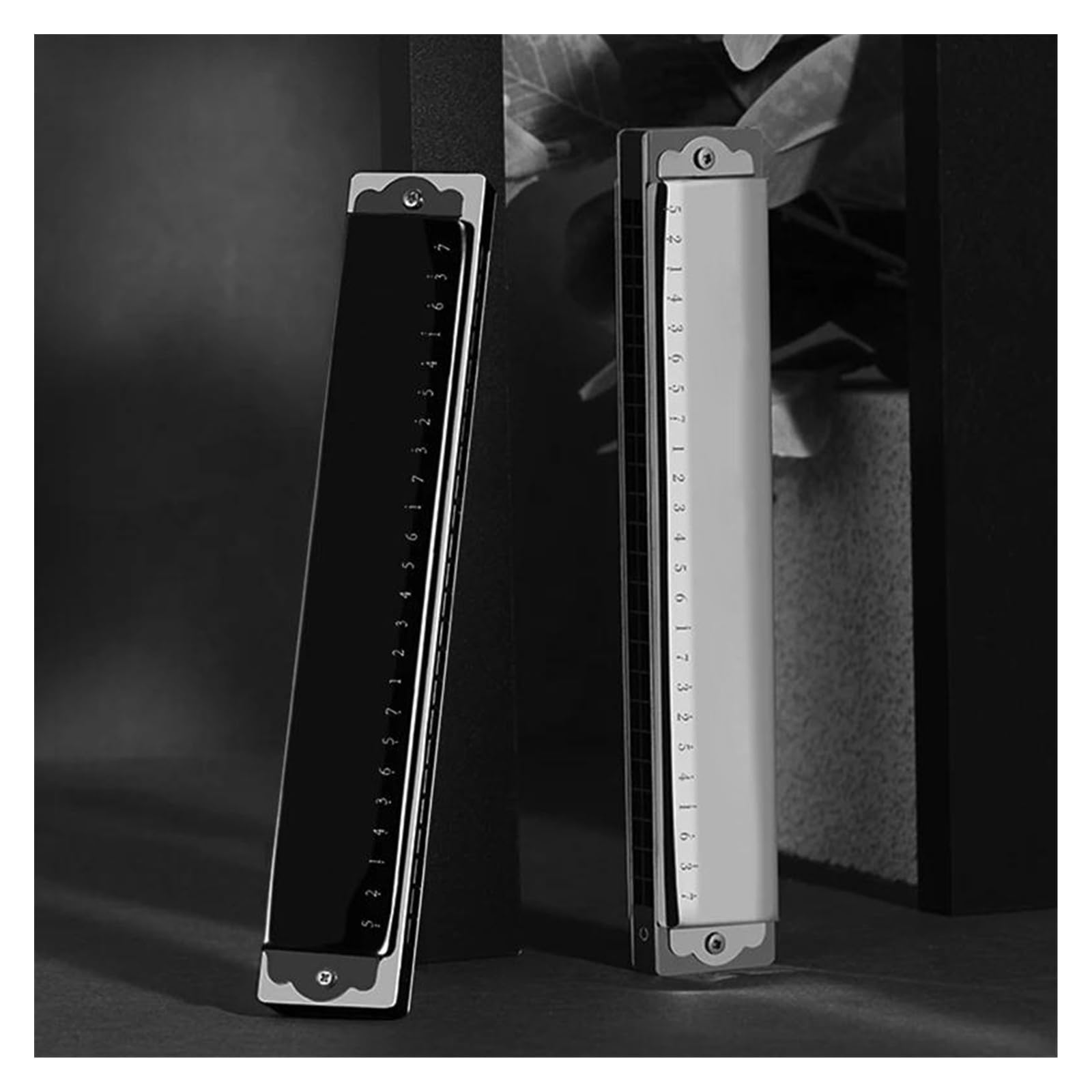 Mundharmonika 24 Löcher Tremolo Mundharmonika C Key Polyphonie Mundharmonika Mundharmonika(Silver)