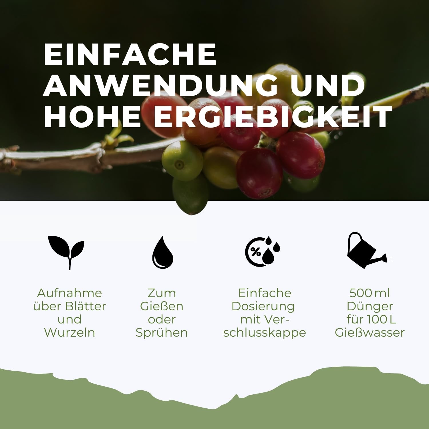Konfitee Kaffee Pflanzen Dünger Flora Boost 5000ml I Für bis zu 1000L Gießwasser I Dünger für Kaffeesträucher I Flüssiger Blatt- & Wurzeldünger I 100% natürlicher Pflanzendünger